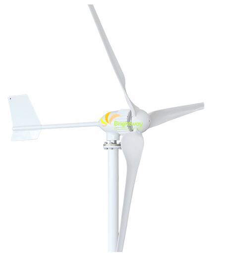 800W 1000W Small Wind Turbine Generator