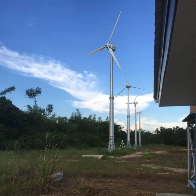 600W 800W 1000W 3kw 5kw 10kw 25000W Wind Turbine Generator Wind Mill System