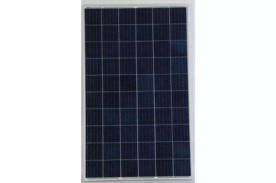 290W Poly Solar Panel