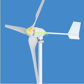 800W 1000W Small Wind Turbine Generator
